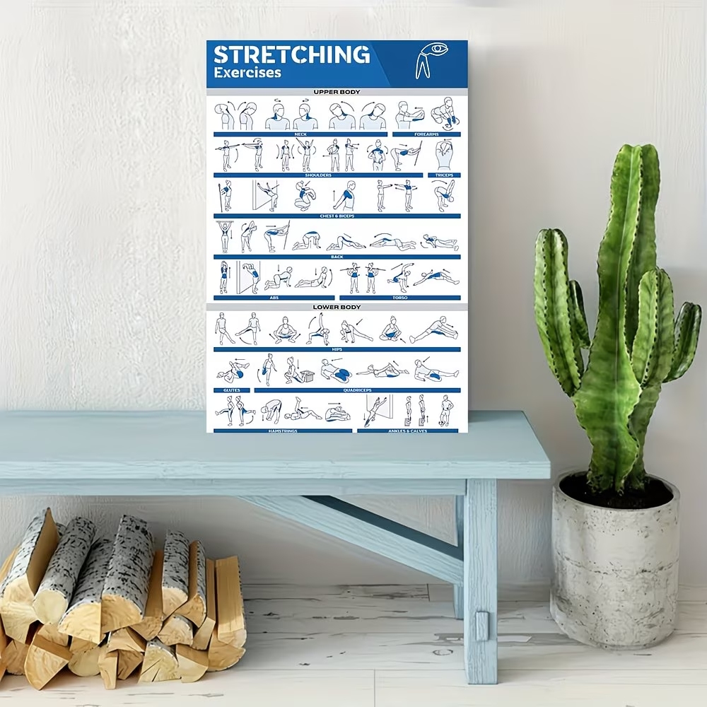 Modern Labeled Full-Body Stret - Sports Equipment Poster 评论和价格